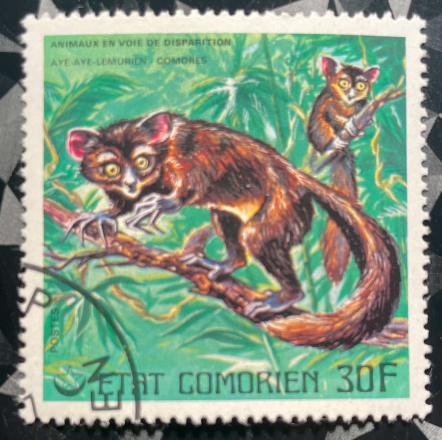 Série Animaux en voie de disparition : Aye-Aye Lémurien