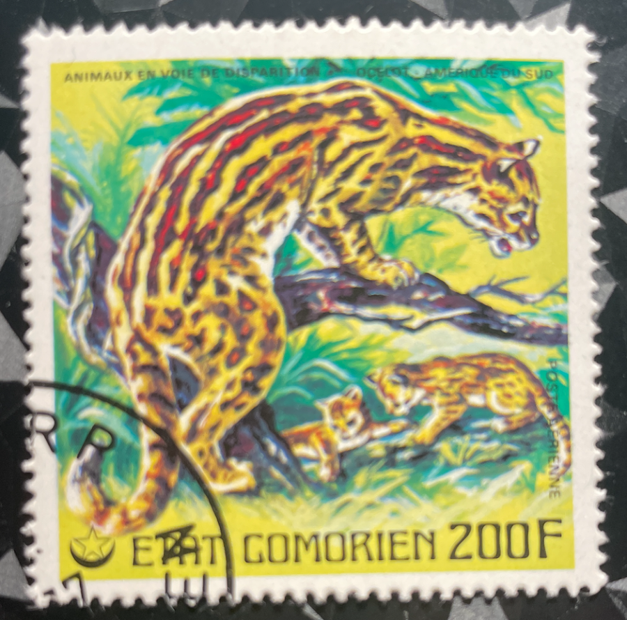 Timbre de poste aérienne au type "Ocelot d'Amérique du Sud" de la série Animaux en voie de disparition