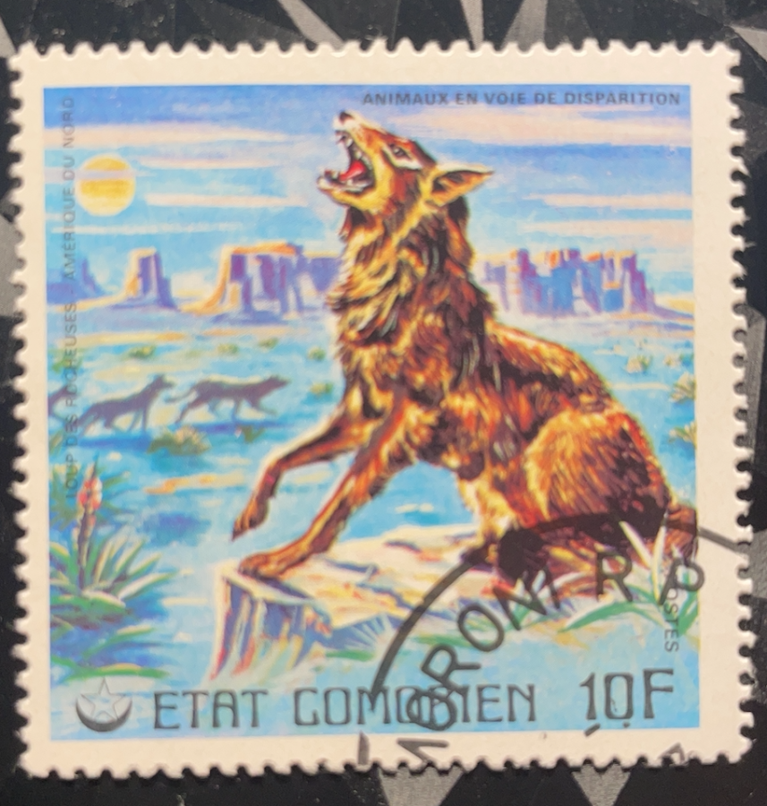 Série Animaux en voie de disparition - Loup des Rocheuses hurlant dans un décor de canyons nord-américains