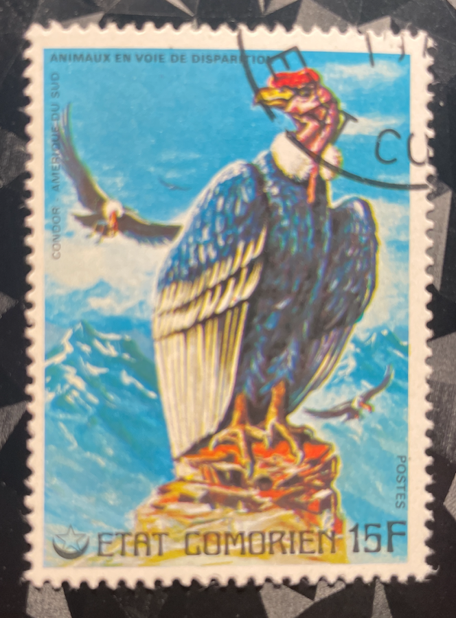 Série Animaux en voie de disparition : Condor - Amérique du Sud