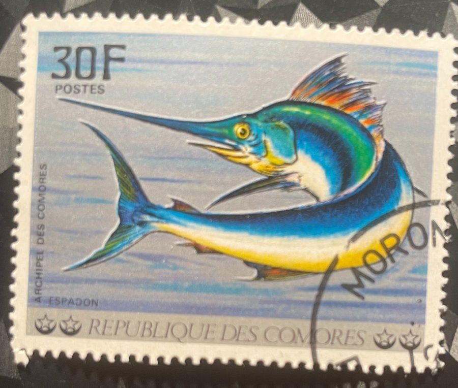 "Espadon" (de la série Poissons de l'archipel des Comores)