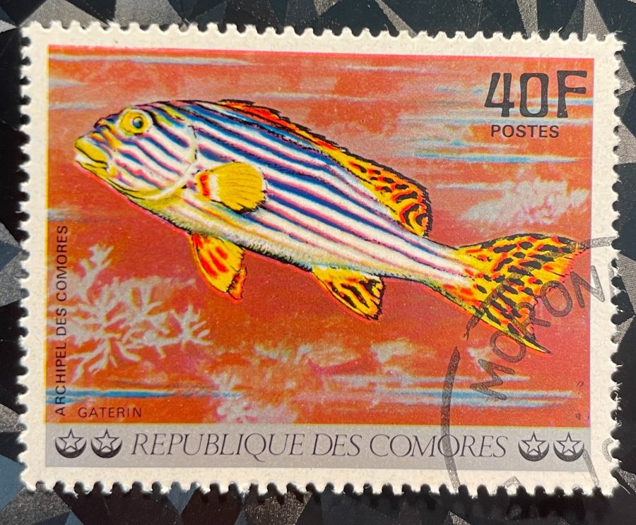Timbre illustrant un gaterin oriental (Plectorhinchus) avec rayures bleues et blanches