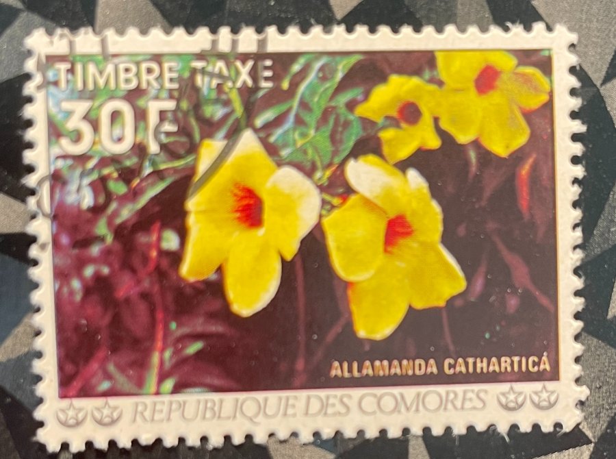 Timbre-taxe représentant la fleur Allamanda cathartica