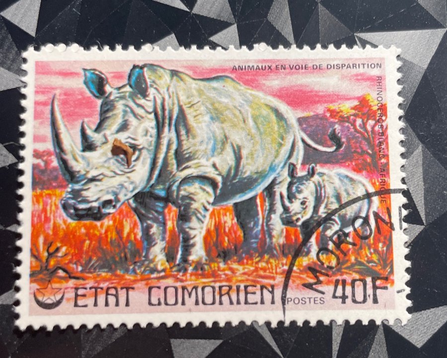 Série thématique "Animaux en voie de disparition" - Rhinocéros blanc d'Afrique et son petit