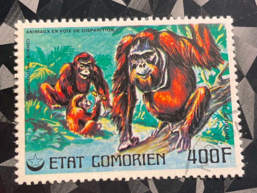 Timbre de poste aérienne représentant une famille d'orangs-outans de Bornéo