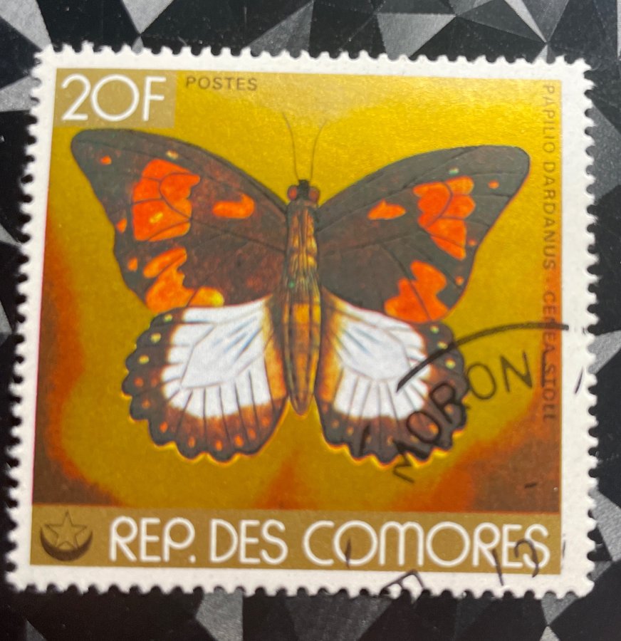 Timbre représentant le papillon Papilio dardanus cenea