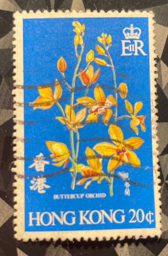 Série spéciale « Orchidées » - L'orchidée bouton-d'or (Spathoglottis pubescens)