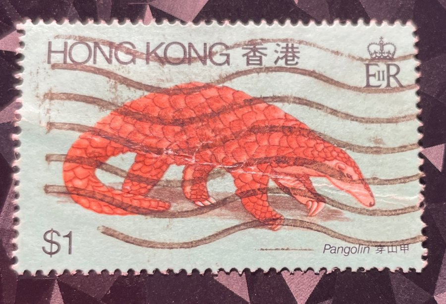 Série thématique « Animaux sauvages » - Pangolin de Chine (Manis pentadactyla)