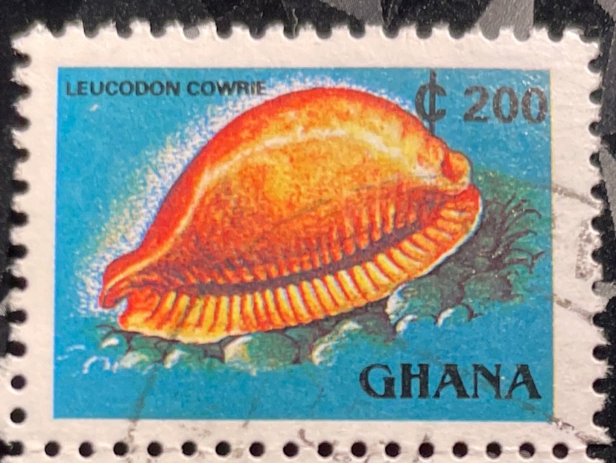 Série Définitive « Tourisme, Faune et Flore » — Coquillage Porcelaine Leucodon (Leucodon Cowrie)