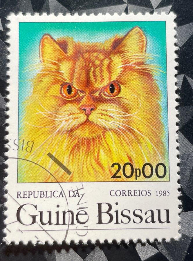 Série thématique « Chats domestiques » — Le Chat Persan