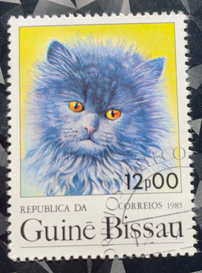 Série thématique « Chats domestiques » — Le Chat Persan Bleu
