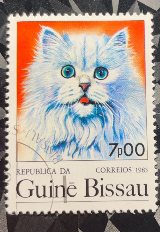 Série thématique « Chats domestiques » — Le Chat Persan Blanc