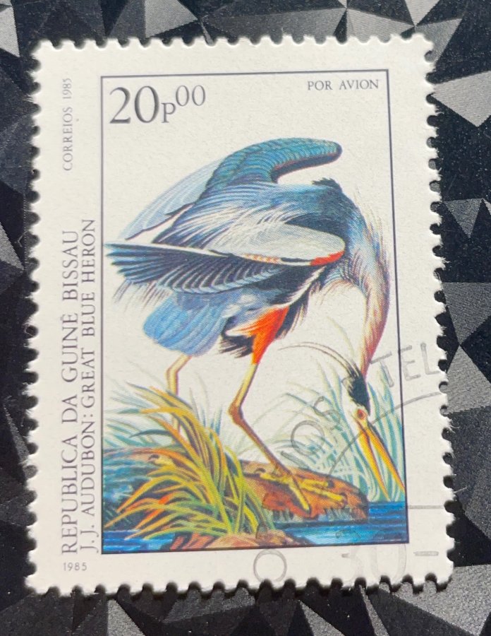 Bicentenaire de la naissance de J.J. Audubon — Grand Héron bleu (Great Blue Heron)