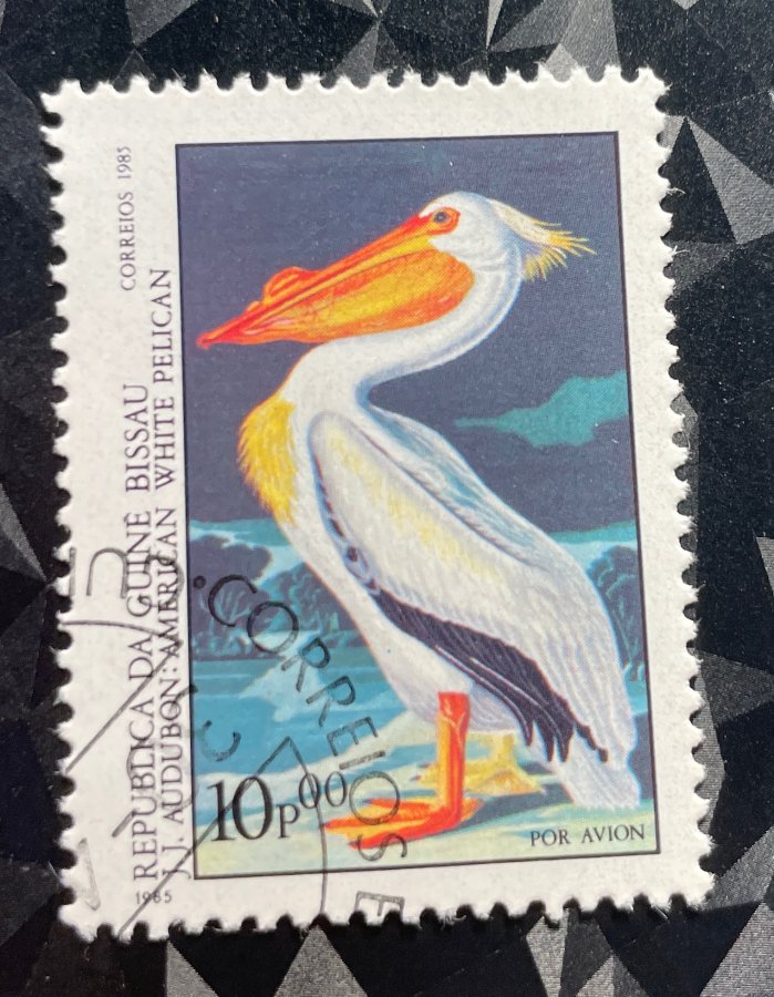 Bicentenaire de la naissance de J.J. Audubon — Pélican blanc d'Amérique (poste aérienne)