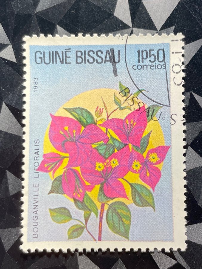 Série thématique « Fleurs locales » — Le Bougainvillier des littoraux (Bouganville litoralis)