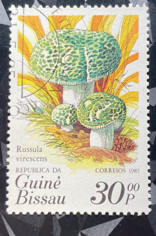 Série thématique « Champignons » — La Russule verdoyante (Russula virescens / Palomet)